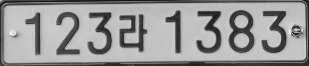 입력 이미지